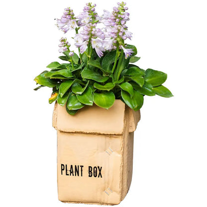 Square cement planter with matte finish and drainage holes, next to a small green plant.