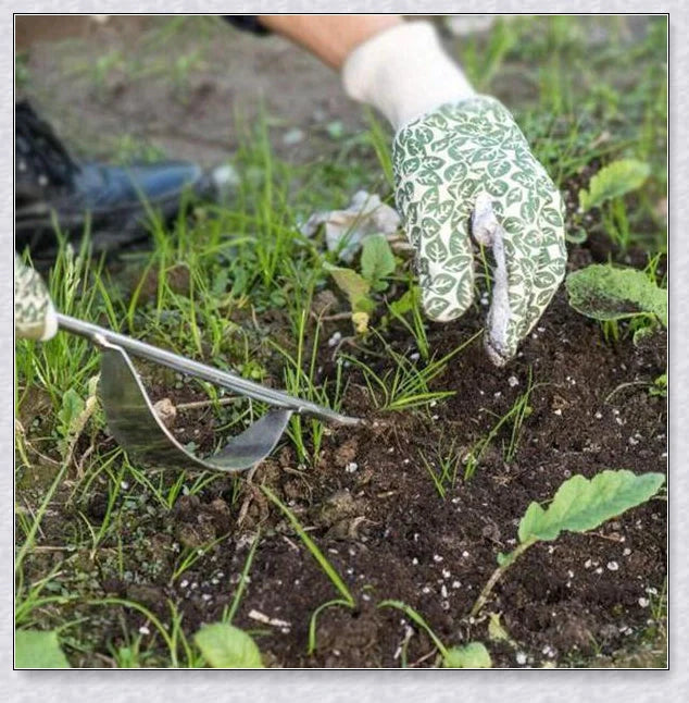 Stainless steel manual weed puller with curved lever base and sharp forked tips for efficient weed removal