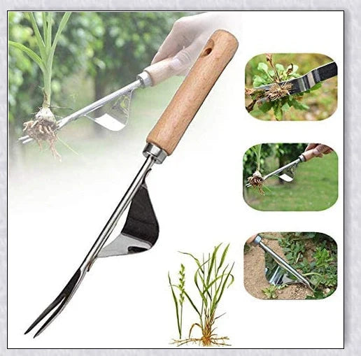 Stainless steel manual weed puller with curved lever base and sharp forked tips for efficient weed removal