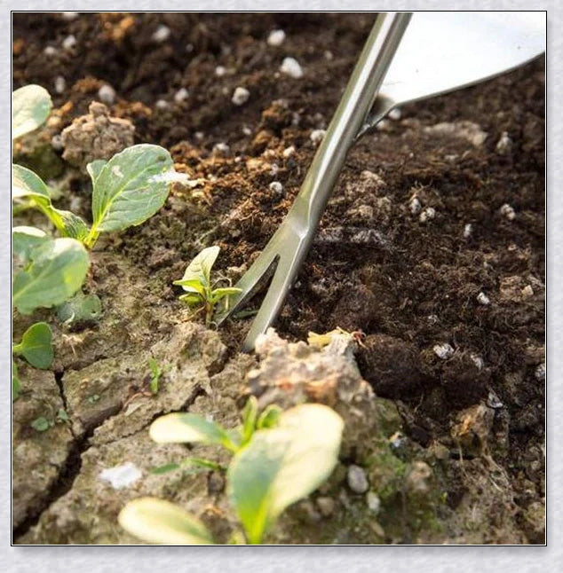 Stainless steel manual weed puller with curved lever base and sharp forked tips for efficient weed removal