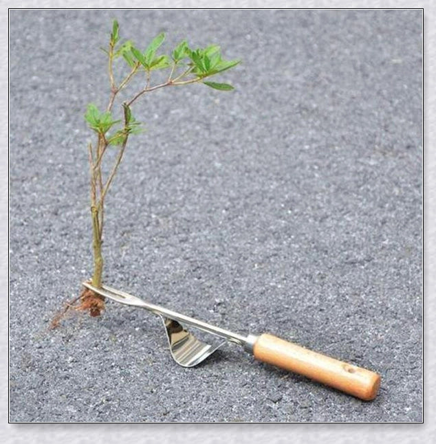 Stainless steel manual weed puller with curved lever base and sharp forked tips for efficient weed removal