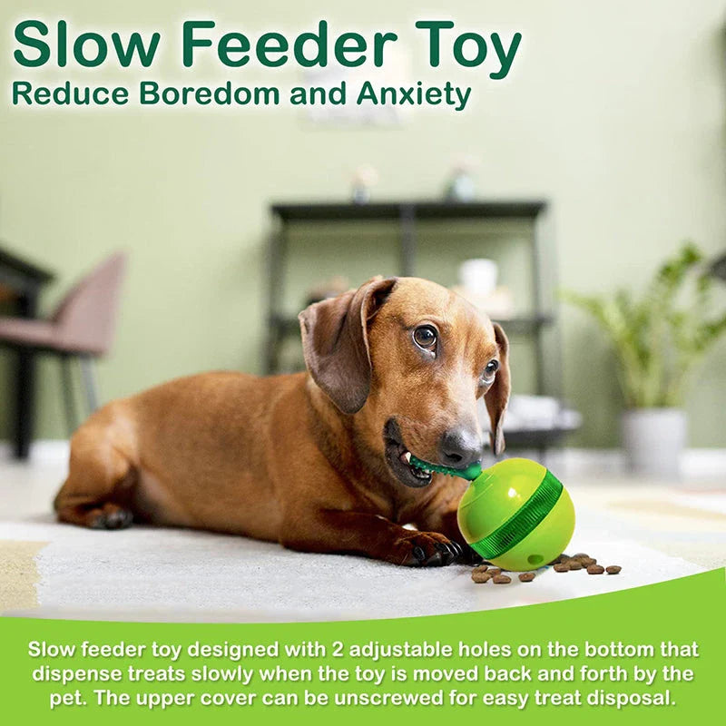 A 3-in-1 interactive cactus-shaped dog toy that serves as a chew toy, treat dispenser, and self-weighted tumbler for pets