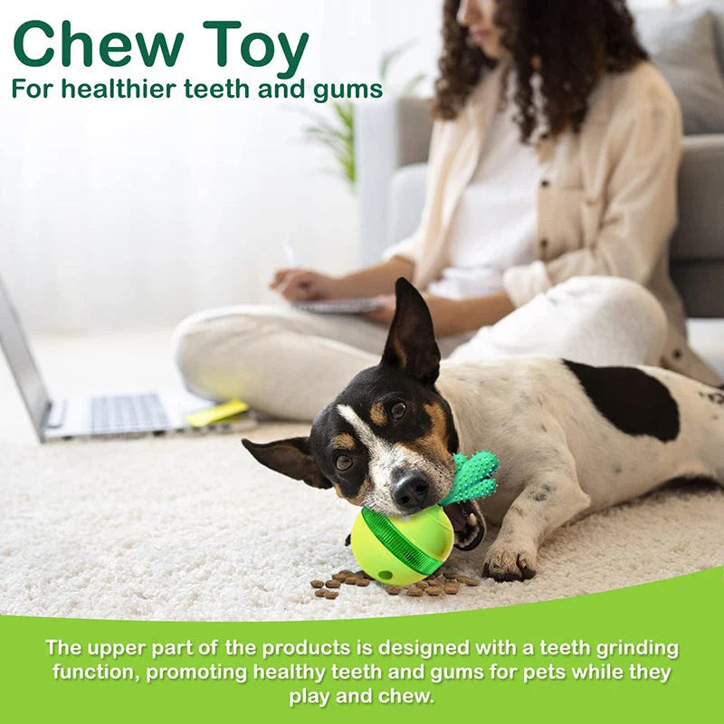 A 3-in-1 interactive cactus-shaped dog toy that serves as a chew toy, treat dispenser, and self-weighted tumbler for pets