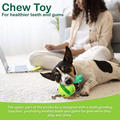 A 3-in-1 interactive cactus-shaped dog toy that serves as a chew toy, treat dispenser, and self-weighted tumbler for pets