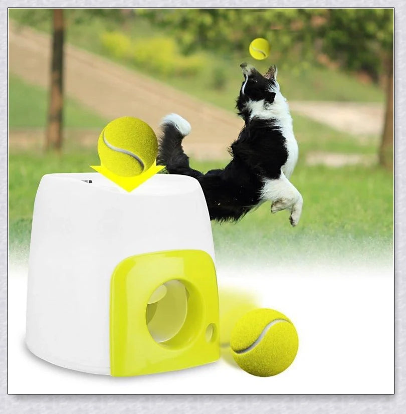 Interactive Automatic Dog Ball Launcher with adjustable controls and a durable, pet-friendly design