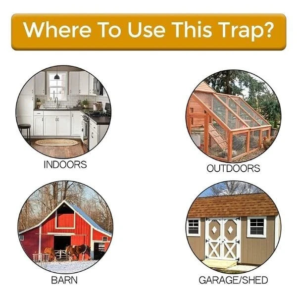 5 Gallon Bucket Mouse Trap - A humane and reusable solution to catch and remove mice and small rats from your home or garden