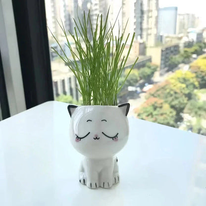 Charming mini cat-shaped ceramic plant pot with a glossy finish, perfect for adding a touch of whimsy to your indoor garden