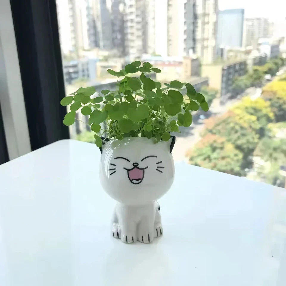Charming mini cat-shaped ceramic plant pot with a glossy finish, perfect for adding a touch of whimsy to your indoor garden