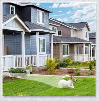 Spraycrow Motion Activated Garden Sprinkler - Harmless and Effective Pest Control for Your Yard
