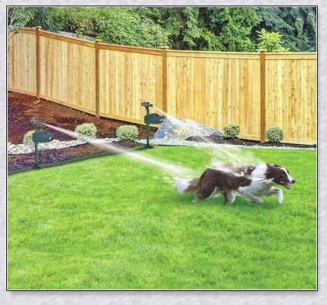 Spraycrow Motion Activated Garden Sprinkler - Harmless and Effective Pest Control for Your Yard