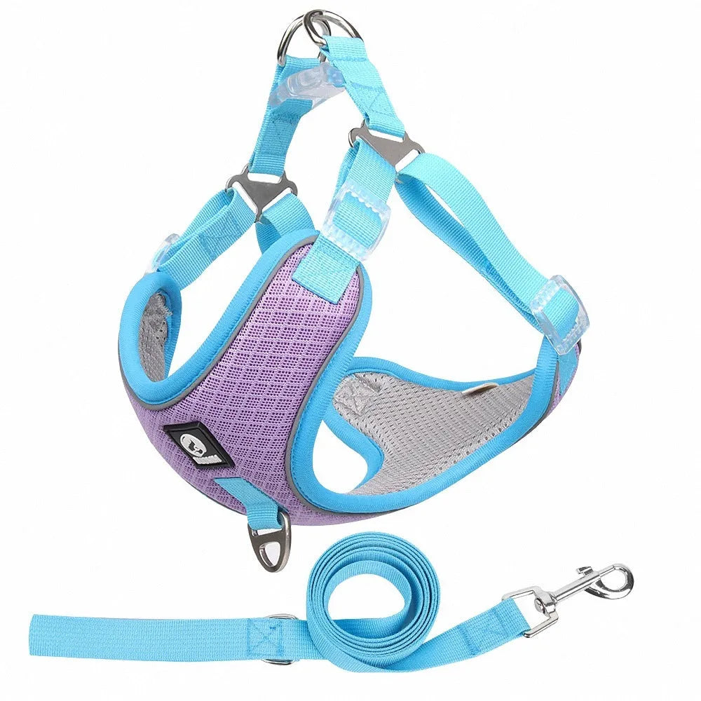 Adjustable mesh dog harness with reflective piping in black, red, gray, and light purple colours