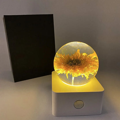 Small clear dome desktop night light with a preserved dandelion and sunflower inside, illuminated softly.