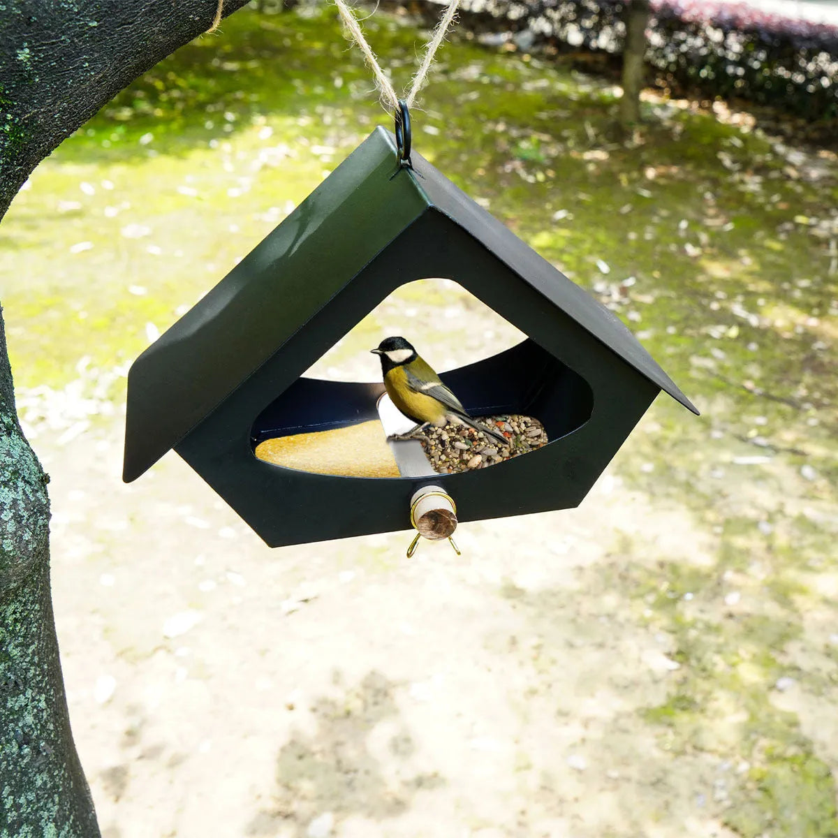 European-style iron bird nest feeder in garden setting, available in black or brown colours