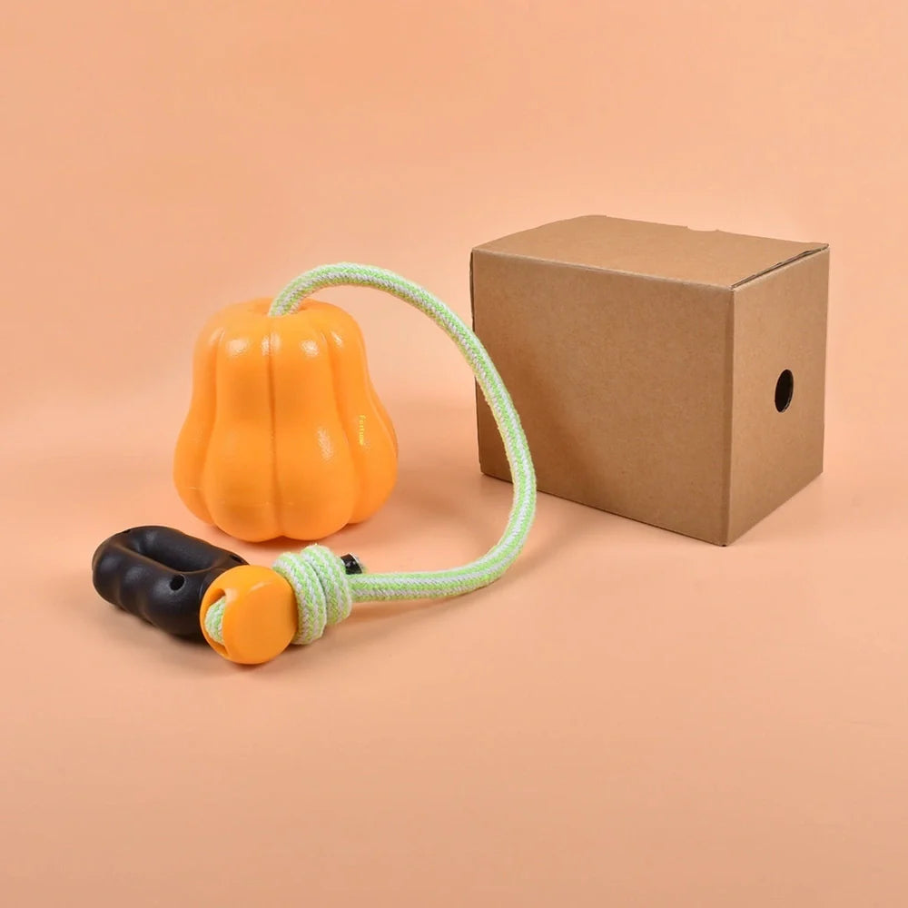 Orange pumpkin-shaped plastic dog toy with attached rope for throwing