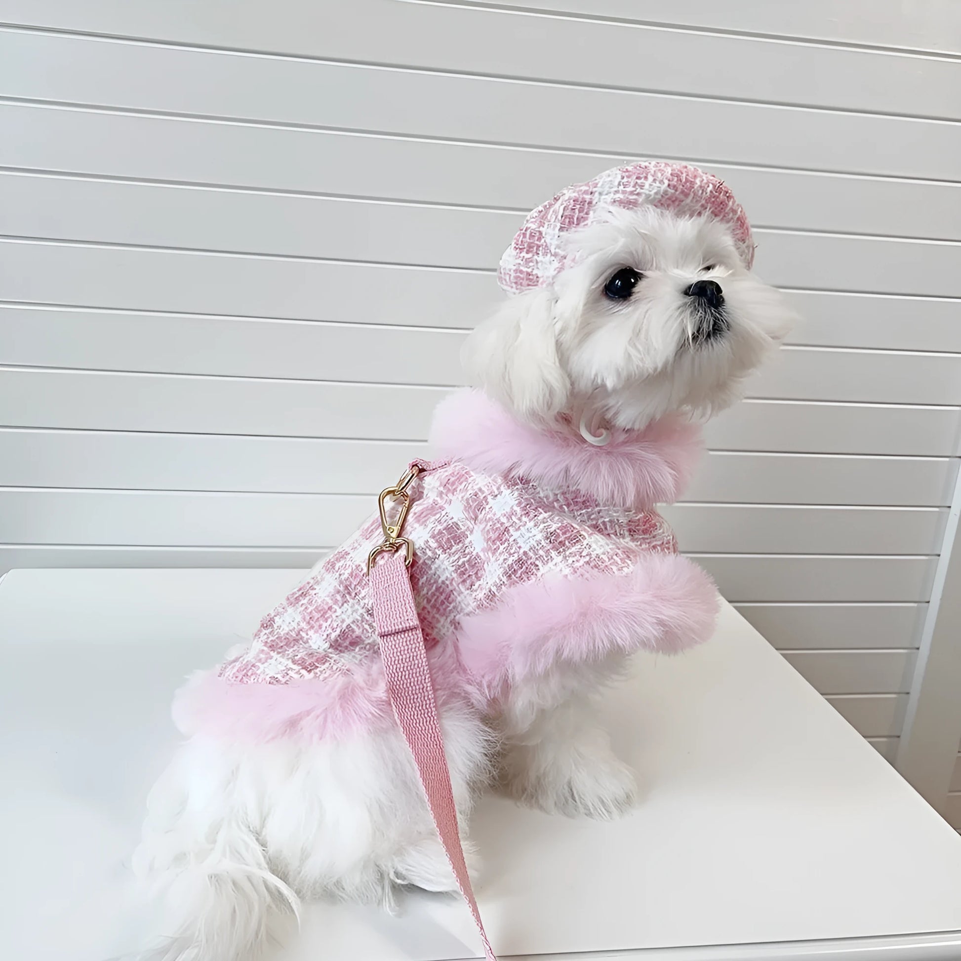 Pink cat costume set with beret and cape featuring hand holding rope design