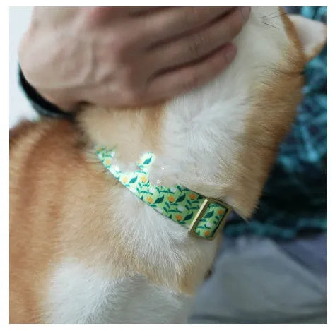 Flower pattern nylon pet collar in blue with size options for dogs and cats