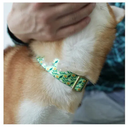 Flower pattern nylon pet collar in blue with size options for dogs and cats