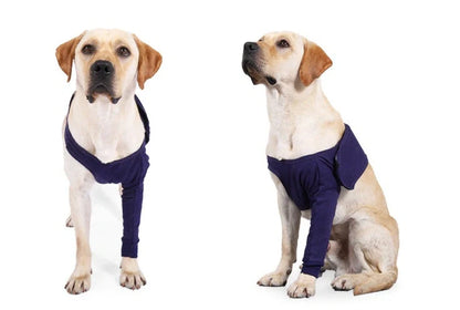 Denim anti-licking sleeve for dogs postoperative recovery in dark blue