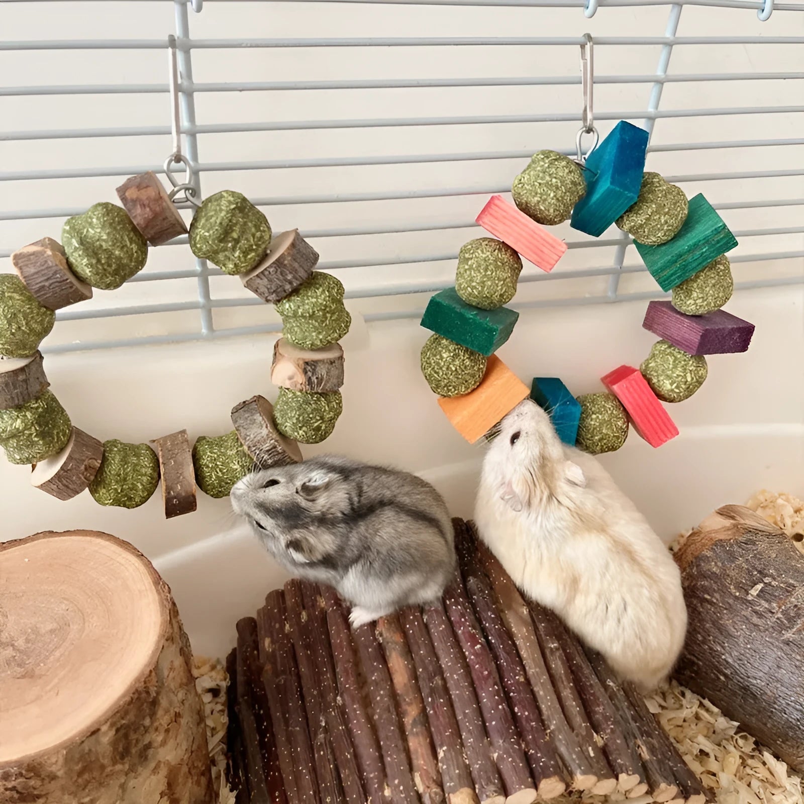 Applewood hamster chewing toy with straw ball ring for small pet dental enrichment
