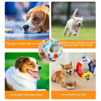25cm diameter dog pull ring chew toy with squeaker in blue, red or yellow designs