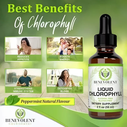 Amber glass bottle with dropper containing 60ml of mint-flavoured liquid chlorophyll drops for internal care.