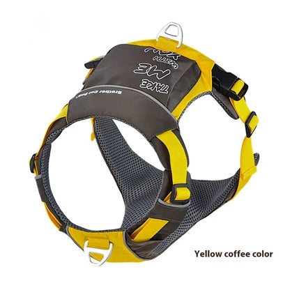 Orange blue vest-style dog chest strap with nylon construction and D-ring attachment