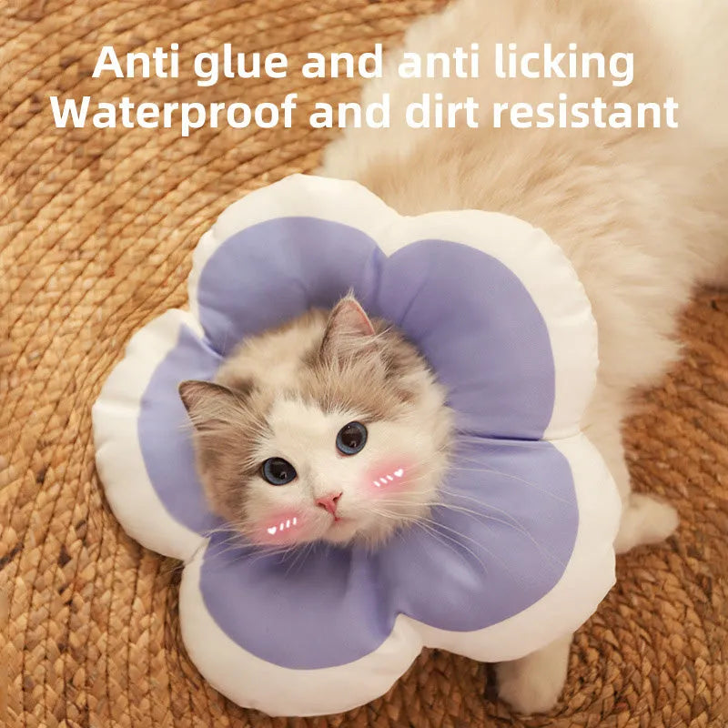 Cat wearing flower-decorated cotton neck collar in adjustable design for recovery use