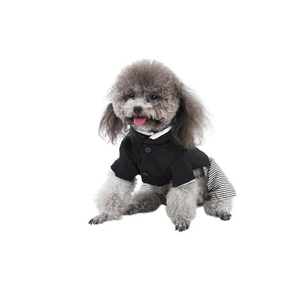 Thin cotton poodle dog clothes in skirt and four-foot pants styles for spring and autumn wear.