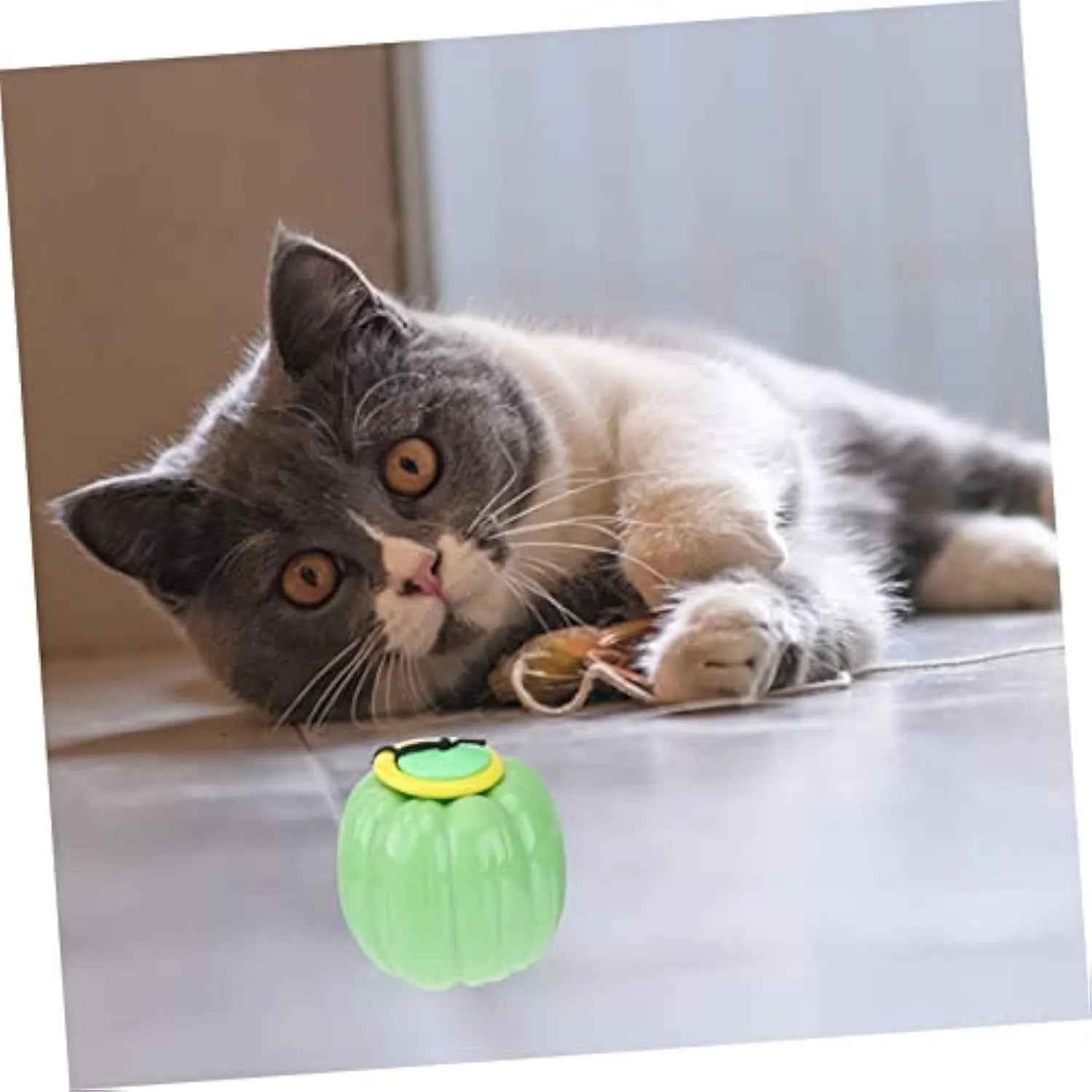 Halloween pumpkin shaped plastic dog chew ball with squeaker in orange colour