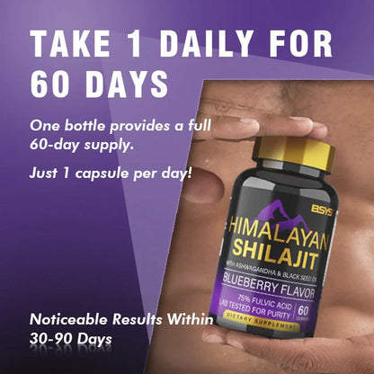 BSYS Shilajit Gummies 60 Count - Delicious Natural Energy Supplement