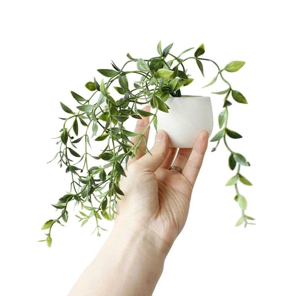 Lifelike artificial succulent fridge magnets with realistic silicone plants in various colors