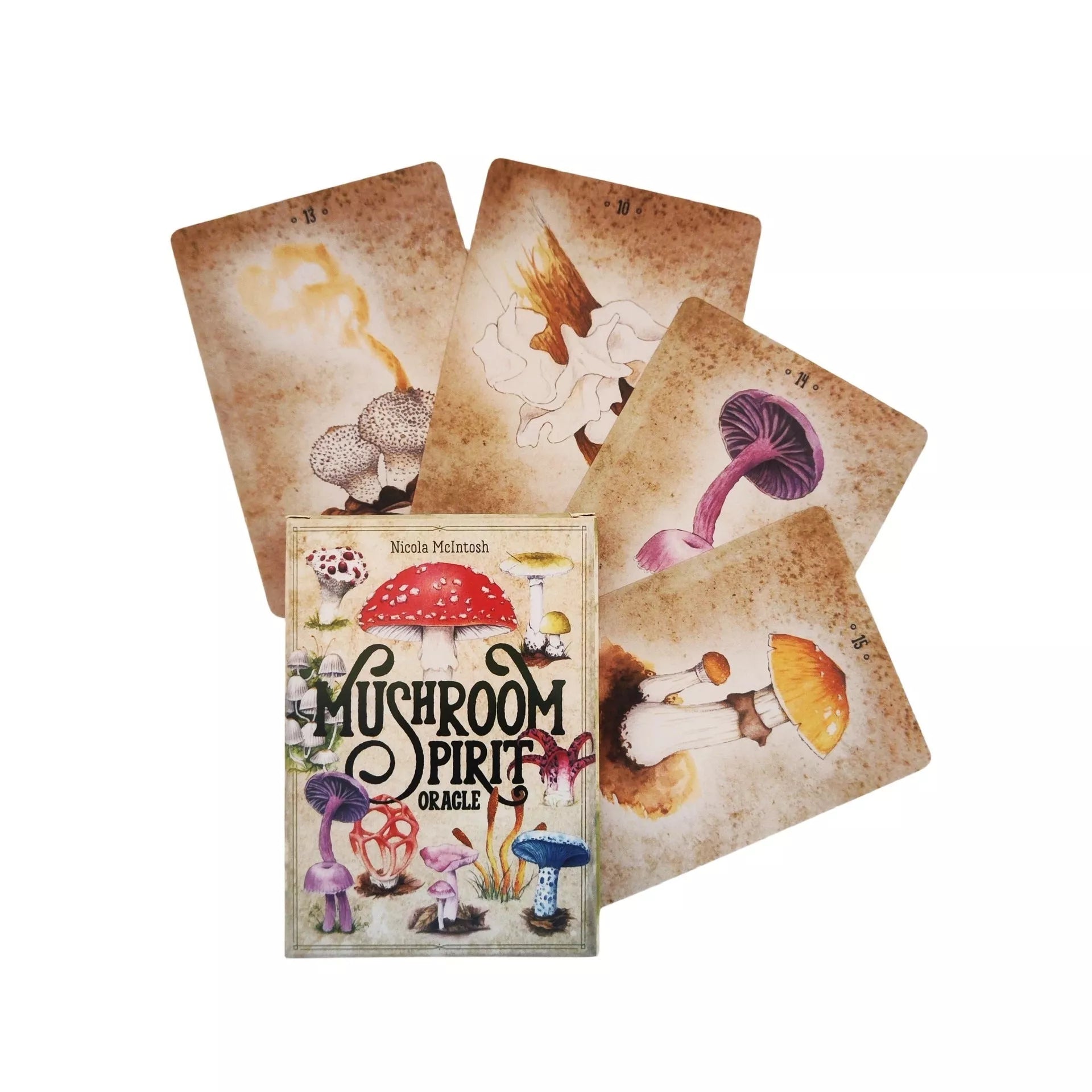Mushroom Spirit Oracle Card Game for cognitive development and fun