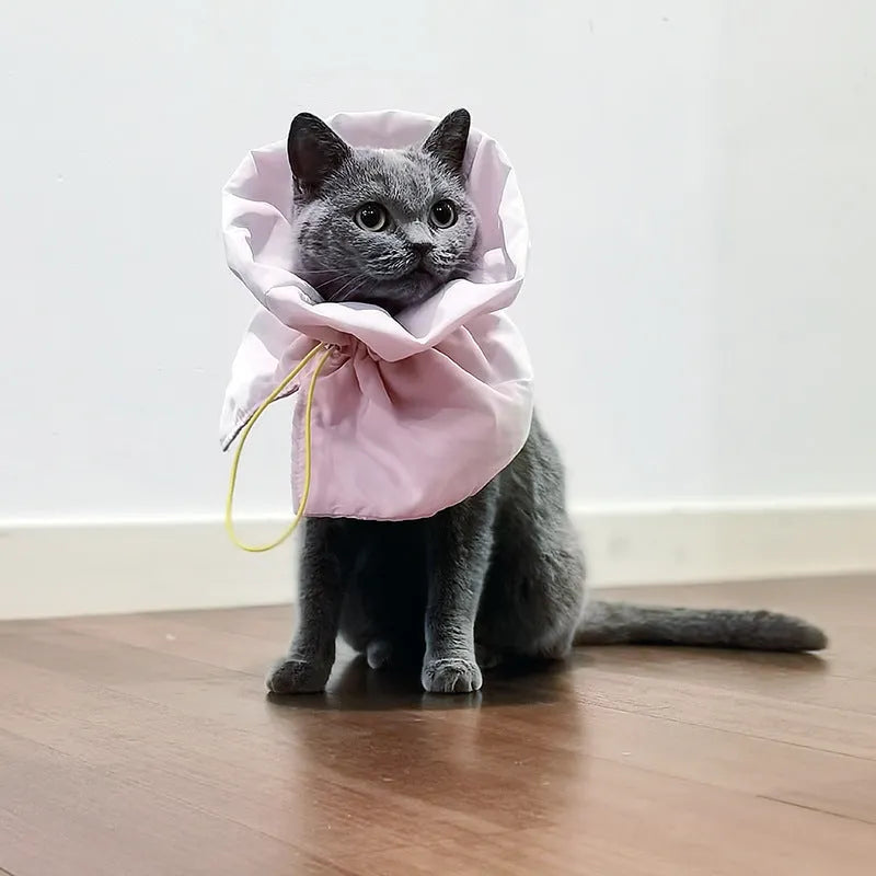 Soft blue adjustable Elizabethan recovery cone collar for a cat or small dog on a white background.