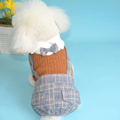 Orange and dark blue cotton dog suit shirt for small breeds in sizes S to 2XL