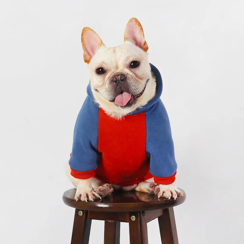 Red cotton clothing for small and medium-sized dogs including Teddy, Bichon, Jarre, Aero Bull, and Corgi breeds