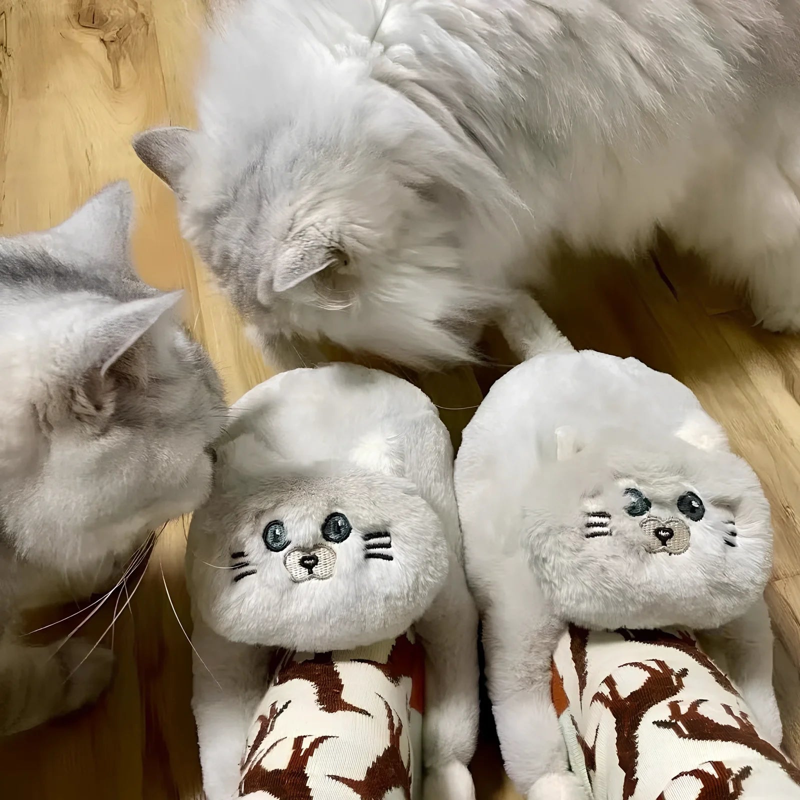 Cotton cat slippers with non-slip sole and animal pattern in blue, white, or beige