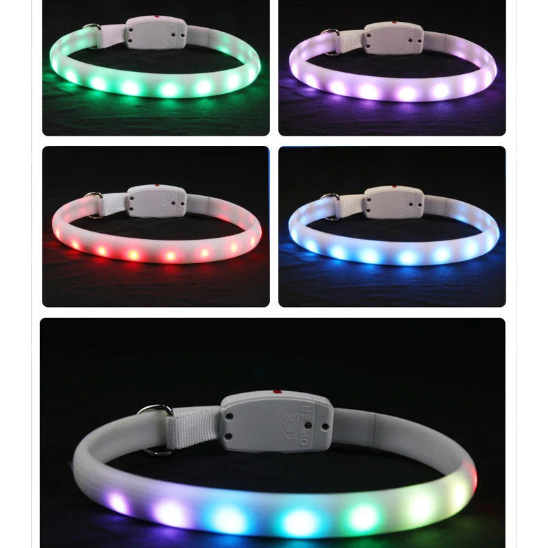 Bright LED pet collar with adjustable strap and ultra-visible lights for safe nighttime walks