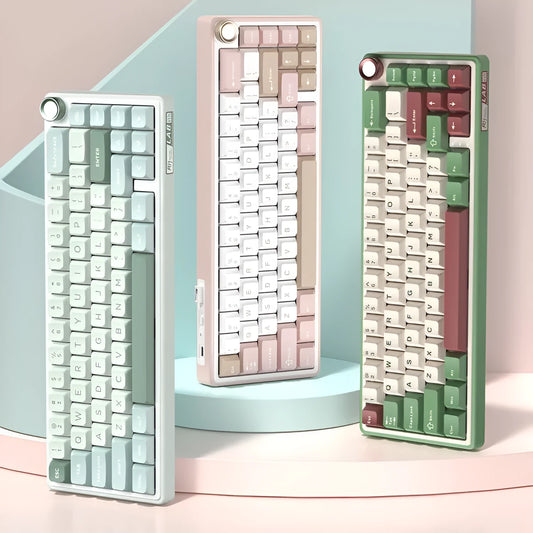 Wireless mechanical keyboard with RGB lighting in multiple colour options