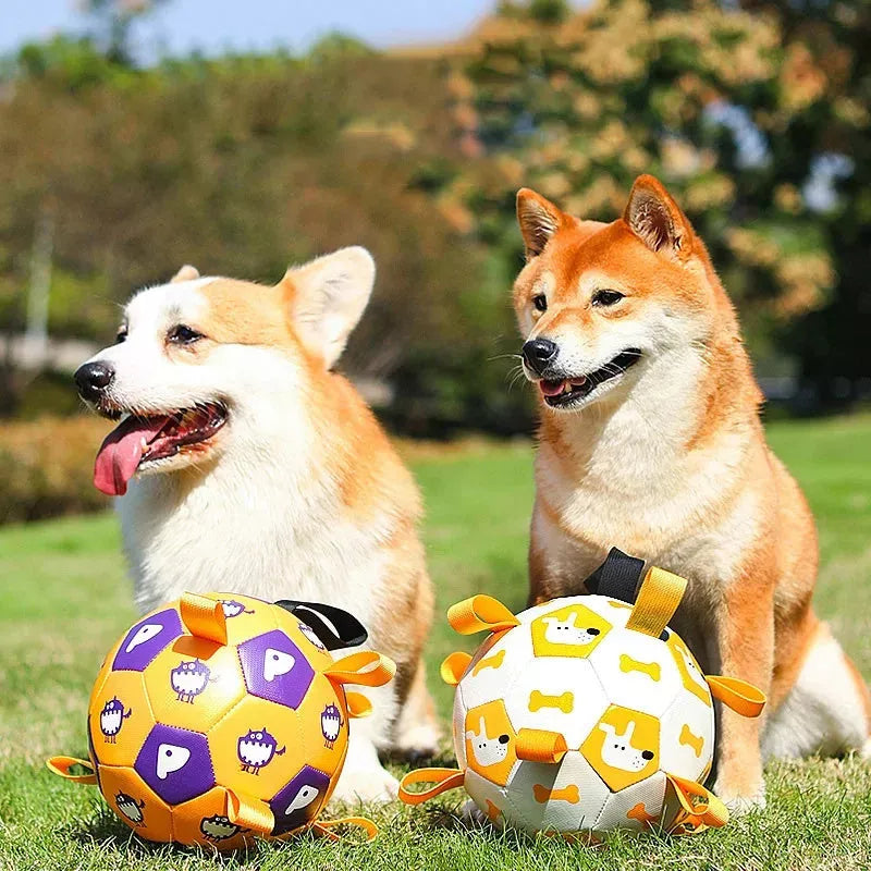 Interactive dog football toy with cute printing, perfect for outdoor training and play