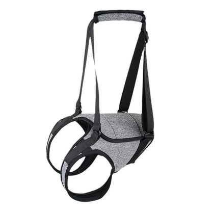 Grey neoprene dog rear leg recovery support belt showing adjustable waist design