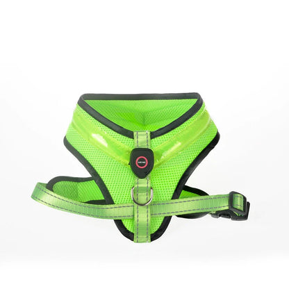 USB rechargeable LED dog harness in blue, red, or green with reflective safety features