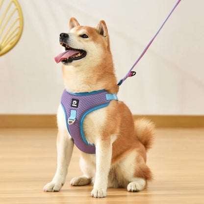Adjustable mesh dog harness with reflective piping in black, red, gray, and light purple colours