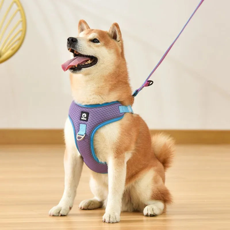 Dog harness with adjustable saddle design made from soft polyester mesh, breathable construction for small and medium dogs with reflective piping for night visibility, available in black, red, gray, and light purple colours in S, M, L, and XL sizes