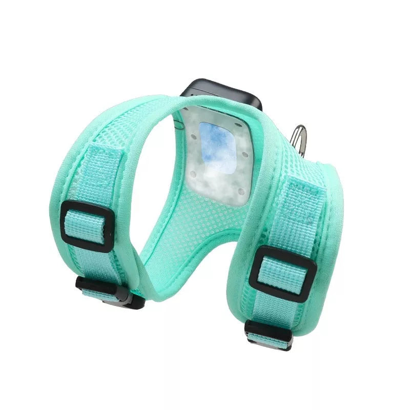 Small dog wearing mint green cooling vest harness with air conditioner