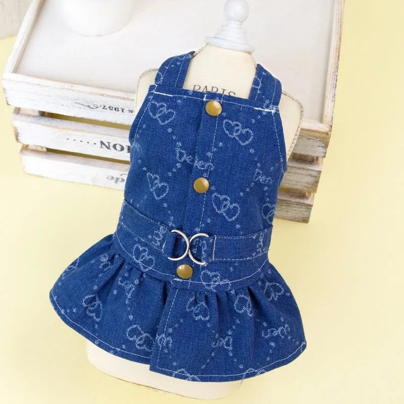 Teddy Bichon dog wearing denim princess dress with bracket skirt detailing