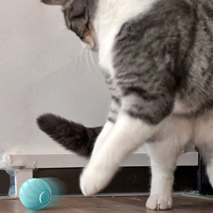 Interactive cat ball with silicone shell and USB charger for electronic pet entertainment