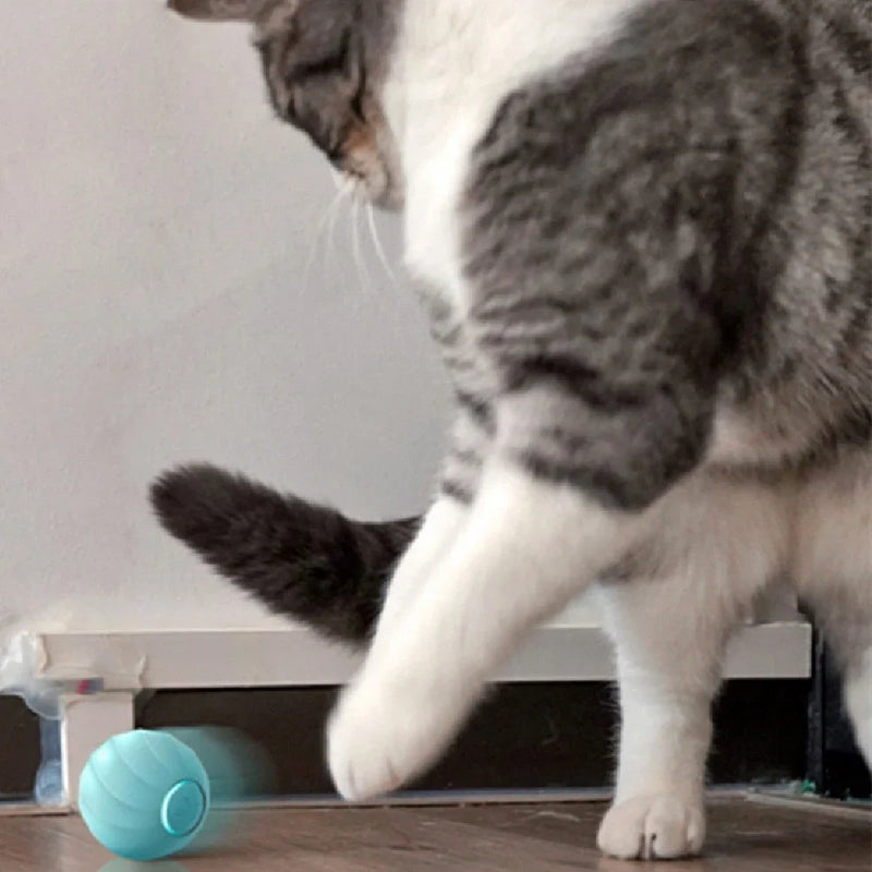 Interactive silicone cat ball with 3.7v 100mAh lithium battery that operates between 0-40°C temperature range, featuring plush shell options for extended play sessions and USB charging convenience