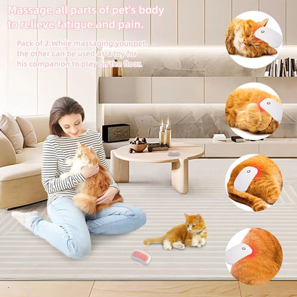 Pink Fuigarry handheld electric pet brush with soft teeth, placed on a carpet next to a cat.