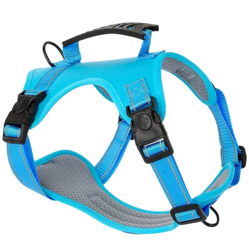 Adjustable polyester dog harness with front D-ring in Lake Blue colour on medium-sized dog