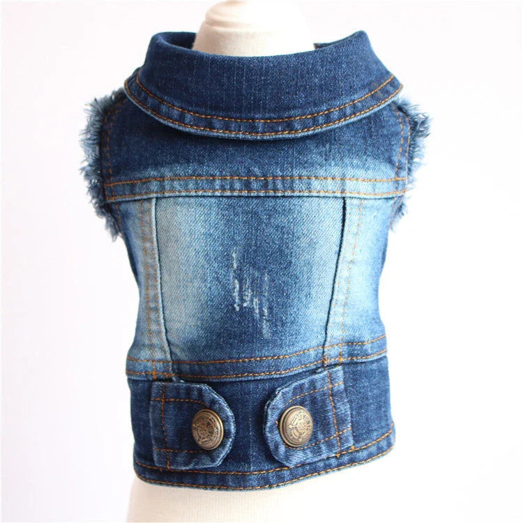 Stylish denim dog jacket with customizable options like hoods, fringes, and patterns for fashionable pet wear